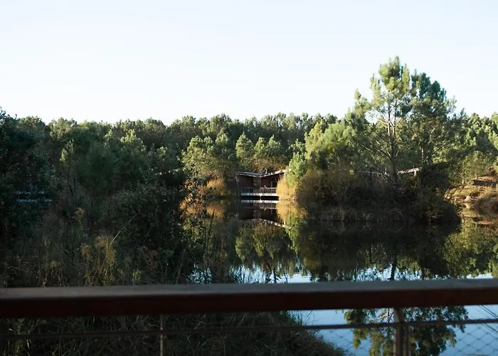 Les échasses Golf&surf Eco Saubion