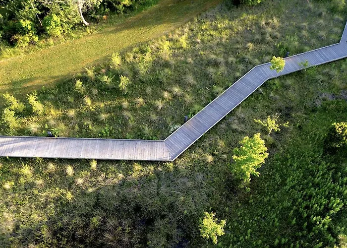 Les échasses Golf&surf Eco